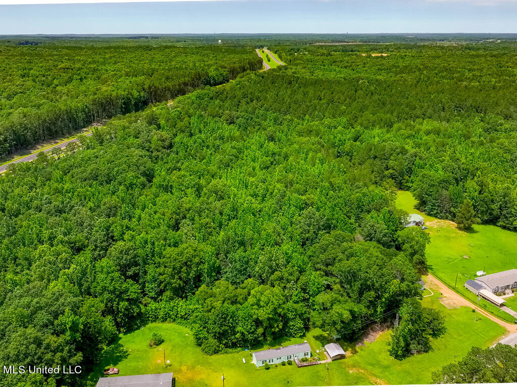 0 Castalian Springs Road Durant, MS 39063 - Photo 15 of 25 14