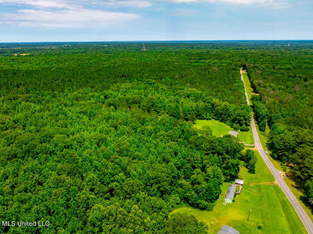 0 Castalian Springs Road Durant, MS 39063 - Photo 8 of 25 07