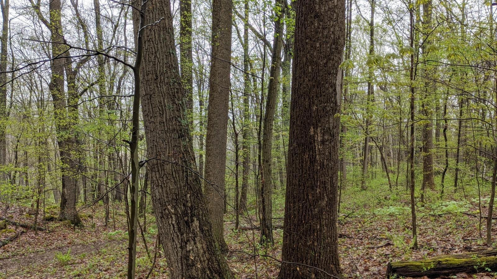 995 McGrery Road Southeast Lancaster, OH 43130 - Photo 17 of 53