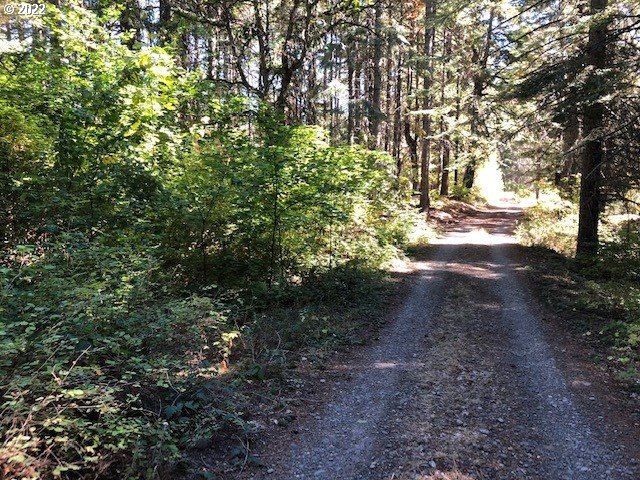 595 Canyon Road Lyle, WA 98635 - Photo 13 of 25 Gallery Image 13