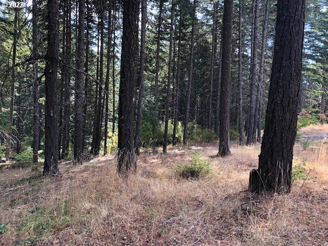 595 Canyon Road Lyle, WA 98635 - Photo 14 of 25 Gallery Image 14