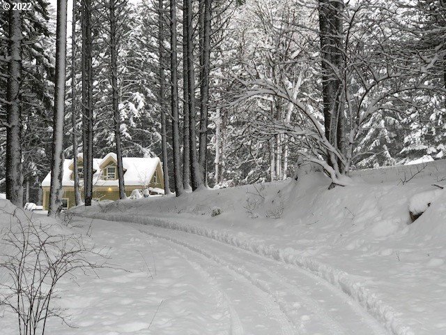 595 Canyon Road Lyle, WA 98635 - Photo 21 of 25 Gallery Image 21