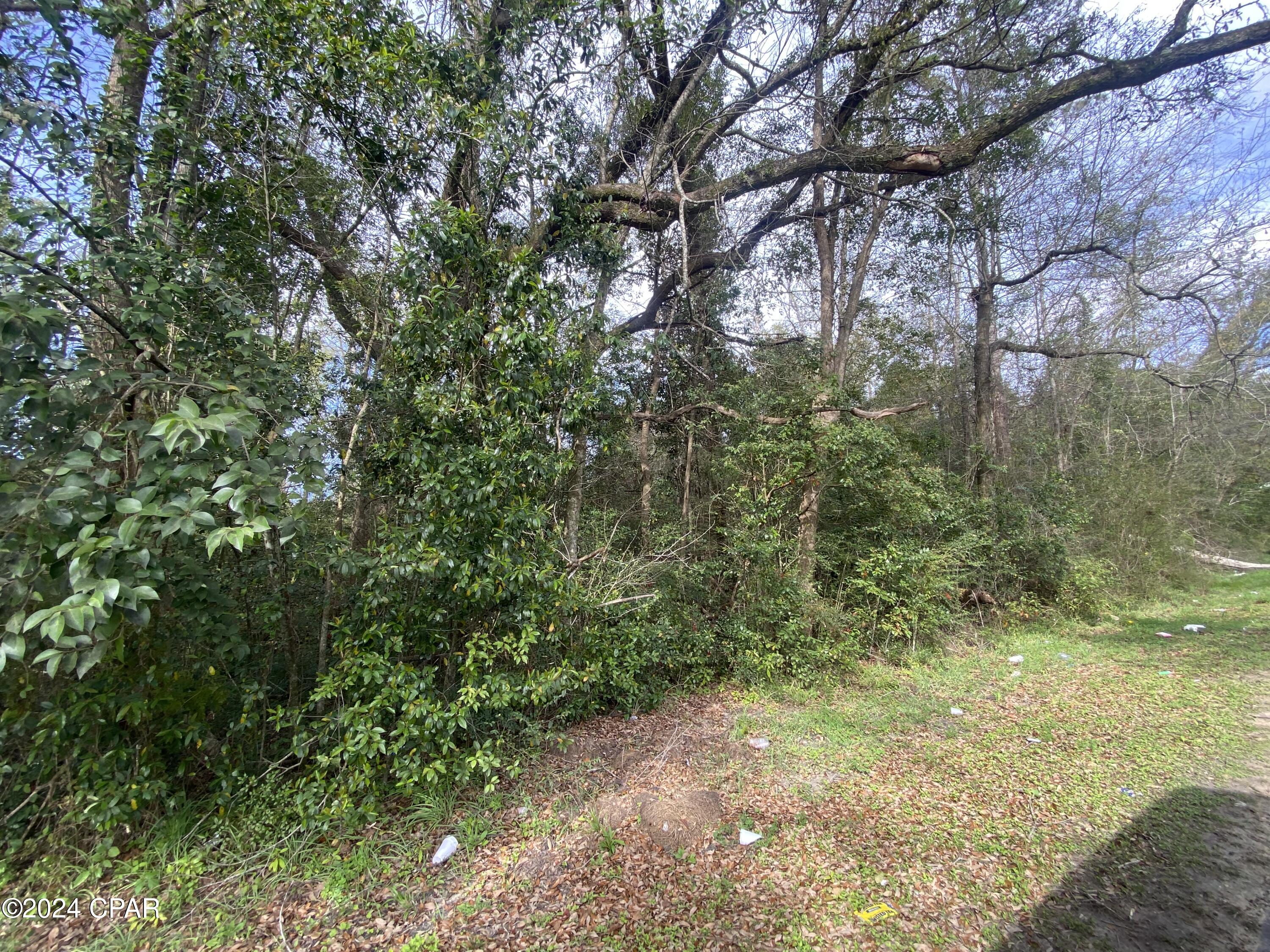 0 Old Cottondale Road Marianna, FL 32448 - Photo 1 of 5