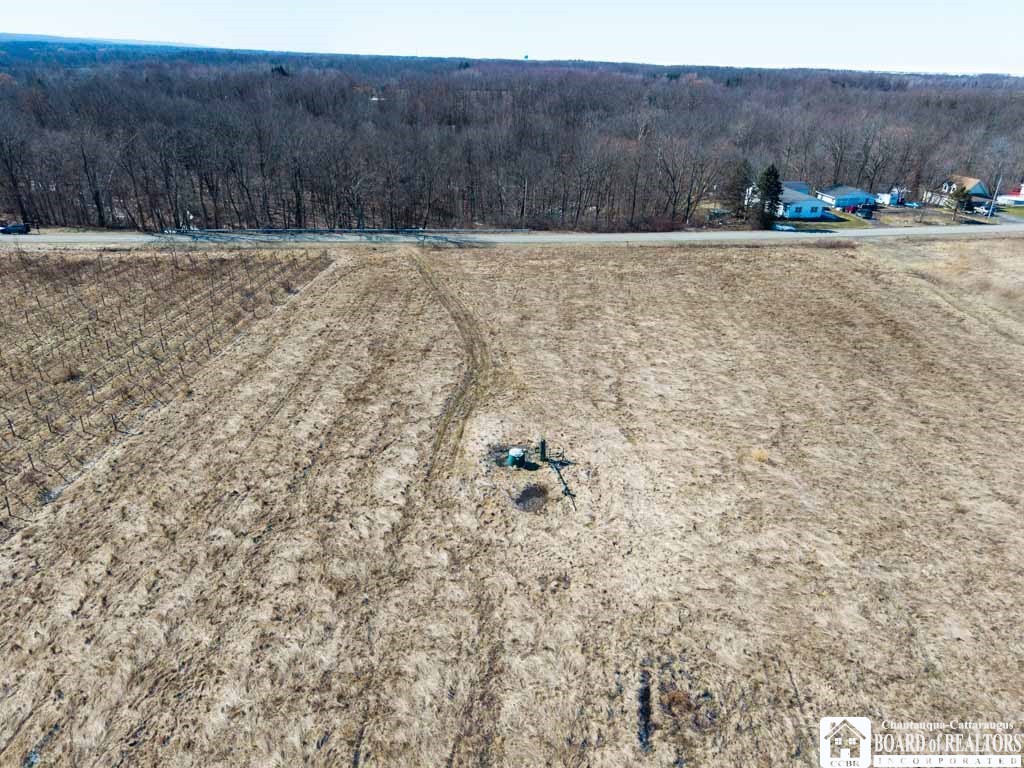 North Road East Pomfret, NY 14063 - Photo 2 of 7