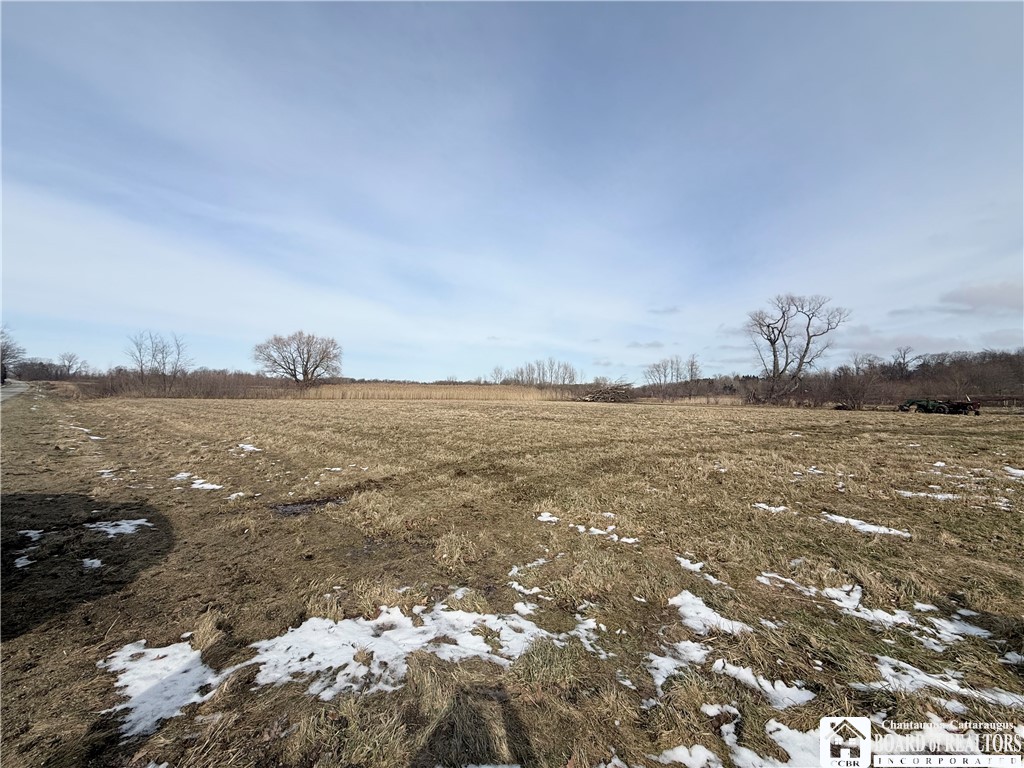 North Road East Pomfret, NY 14063 - Photo 5 of 7