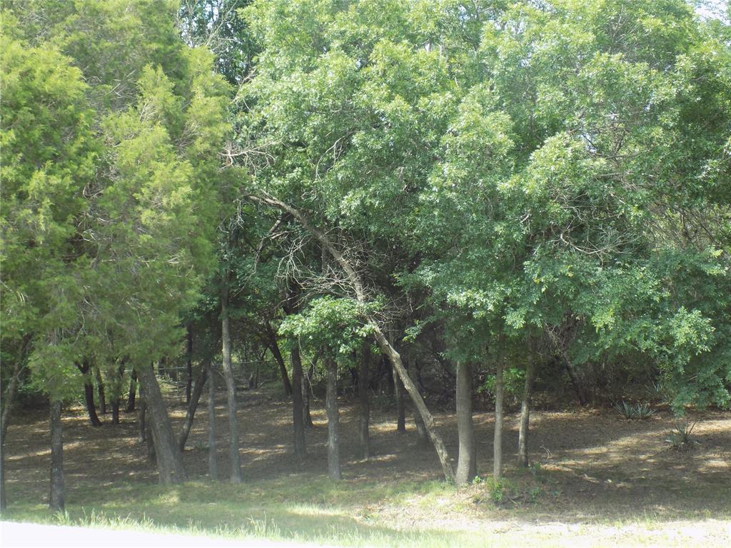 203 South Ridgeview Court Azle, TX 76020 - Photo 26 of 29 Astonishing views in your own backyard.