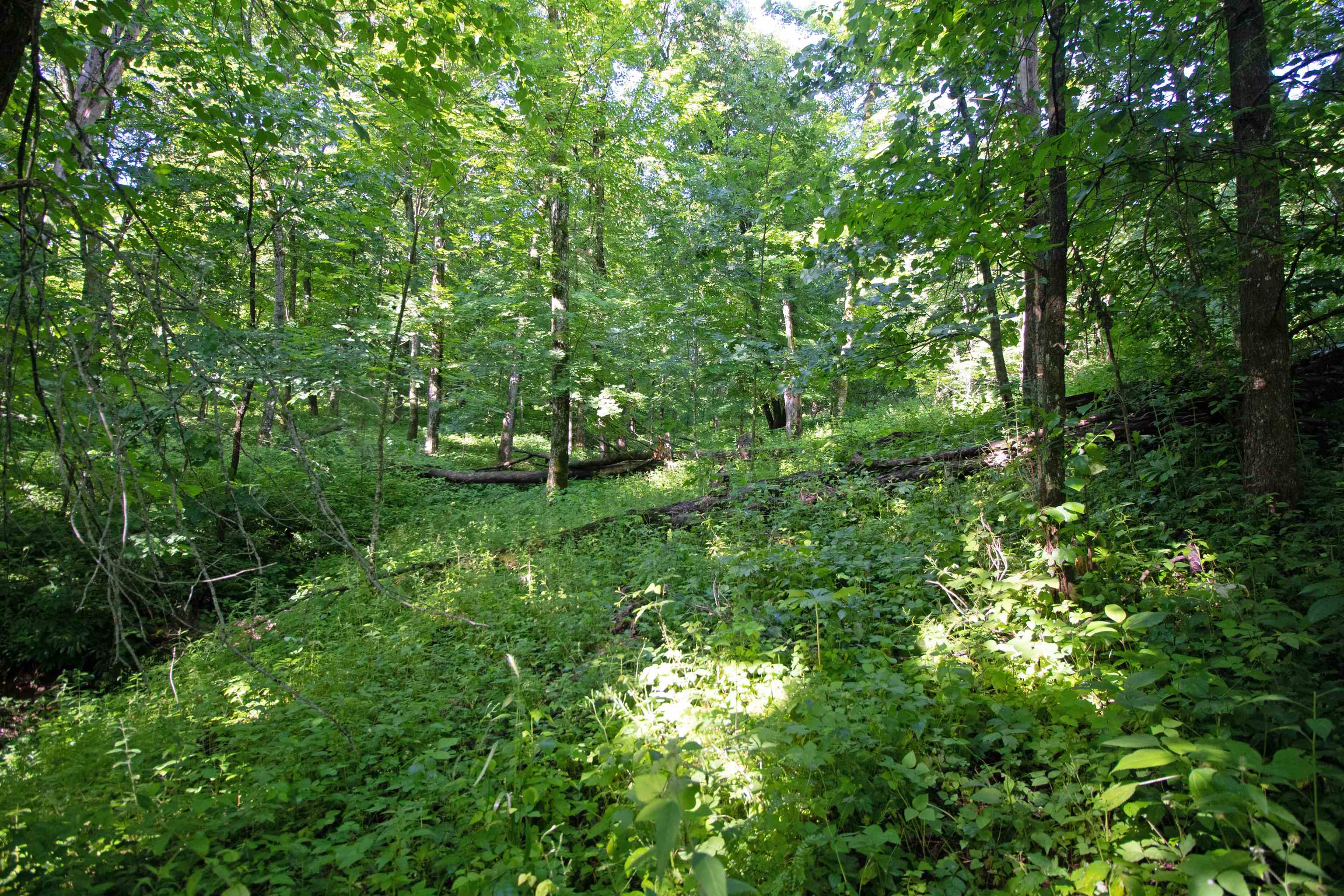 76-acres Skyline Road Blue River, WI 53518 - Photo 23 of 46
