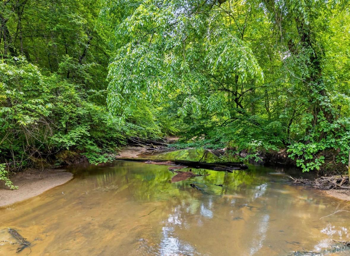 275 Fox Hill Road Rice, VA 23966 - Photo 52 of 58