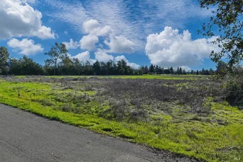 a view of a big yard