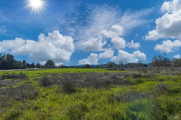 a view of a big yard