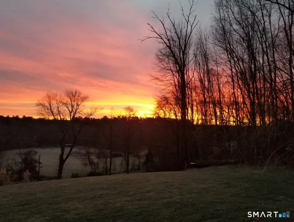 a view of backyard with green space