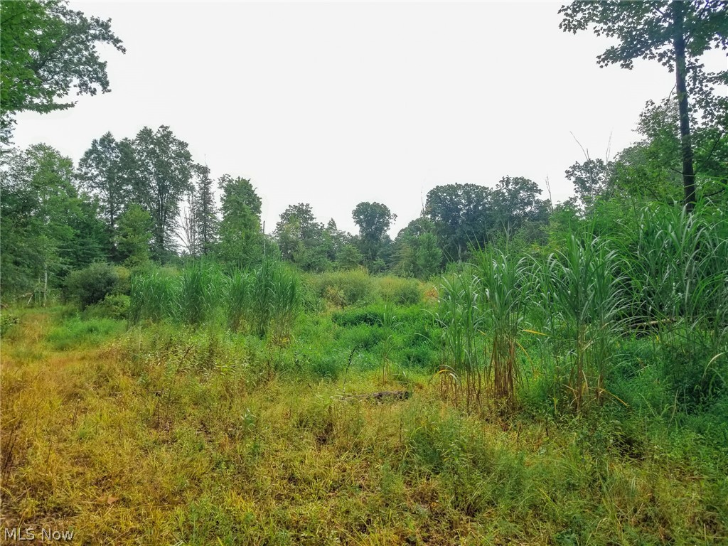 River Road Warren, OH 44485 - Photo 13 of 41 Gallery Image 13