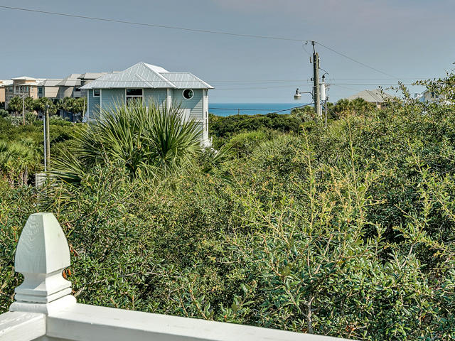 65 Seacrest Drive Inlet Beach, FL 32461 - Photo 51 of 52 View from Tower (1)