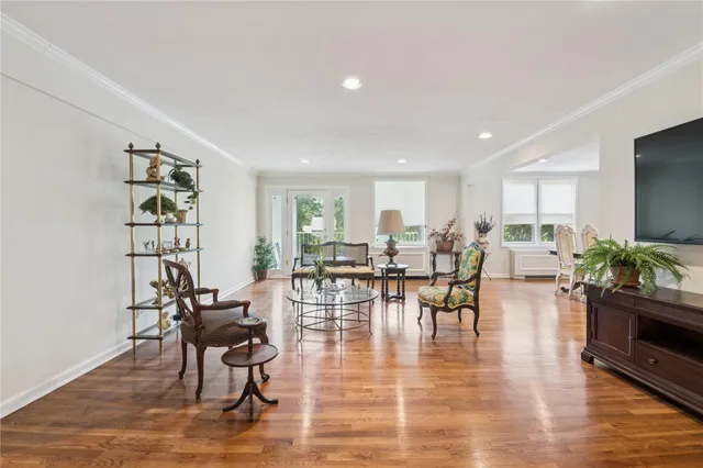 a living room with furniture dining table and a potted plant