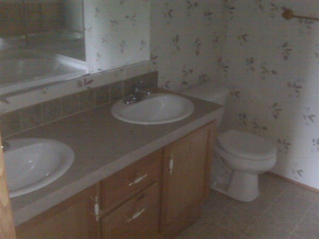 408 Cedar Falls Road Fountain Inn, SC 29644 - Photo 9 of 14