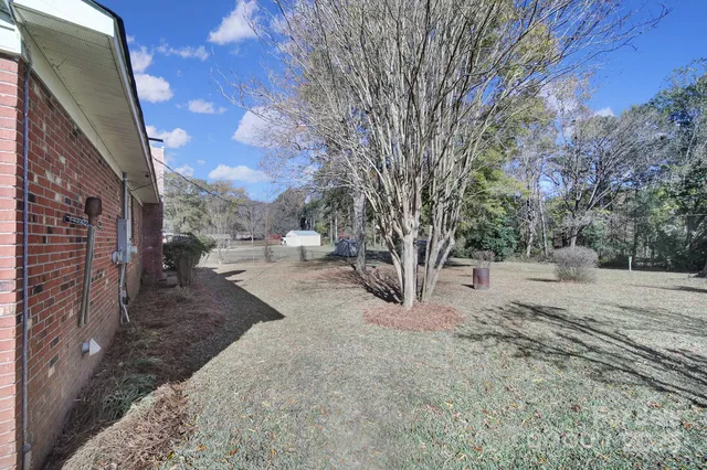 a view of a backyard with large trees