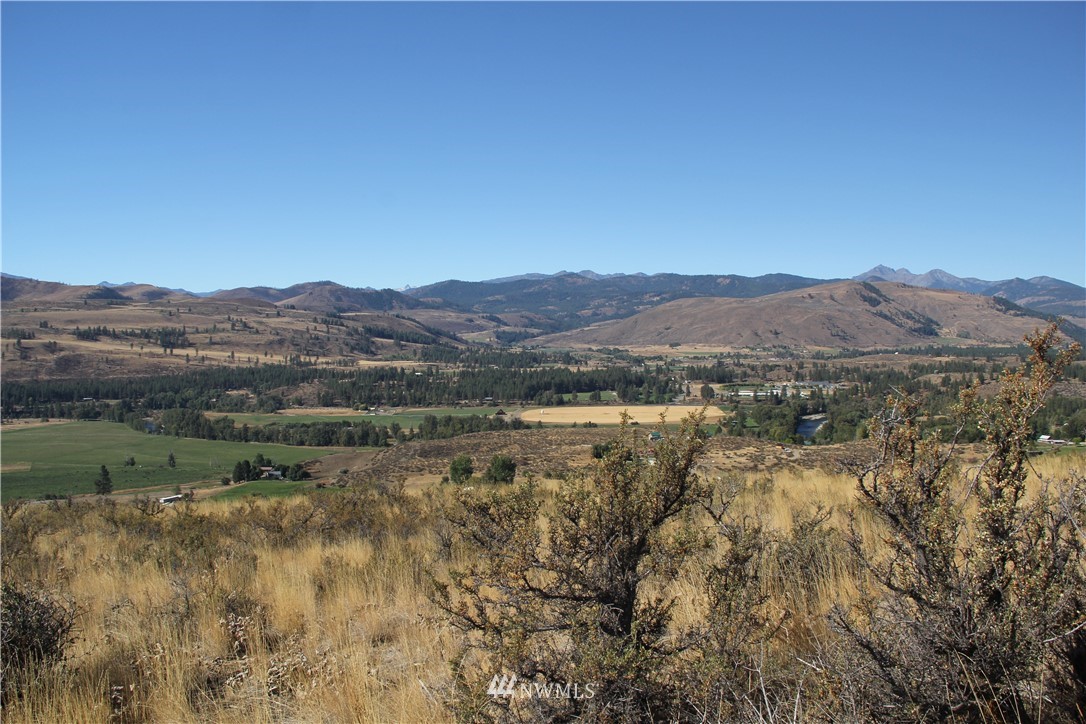 0 Harrier Hill Road Winthrop, WA 98862 - Photo 11 of 33 Gallery Image 11