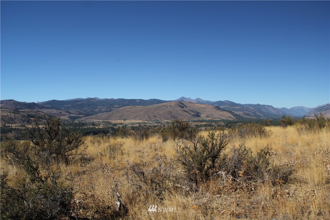 0 Harrier Hill Road Winthrop, WA 98862 - Photo 21 of 33 Gallery Image 21