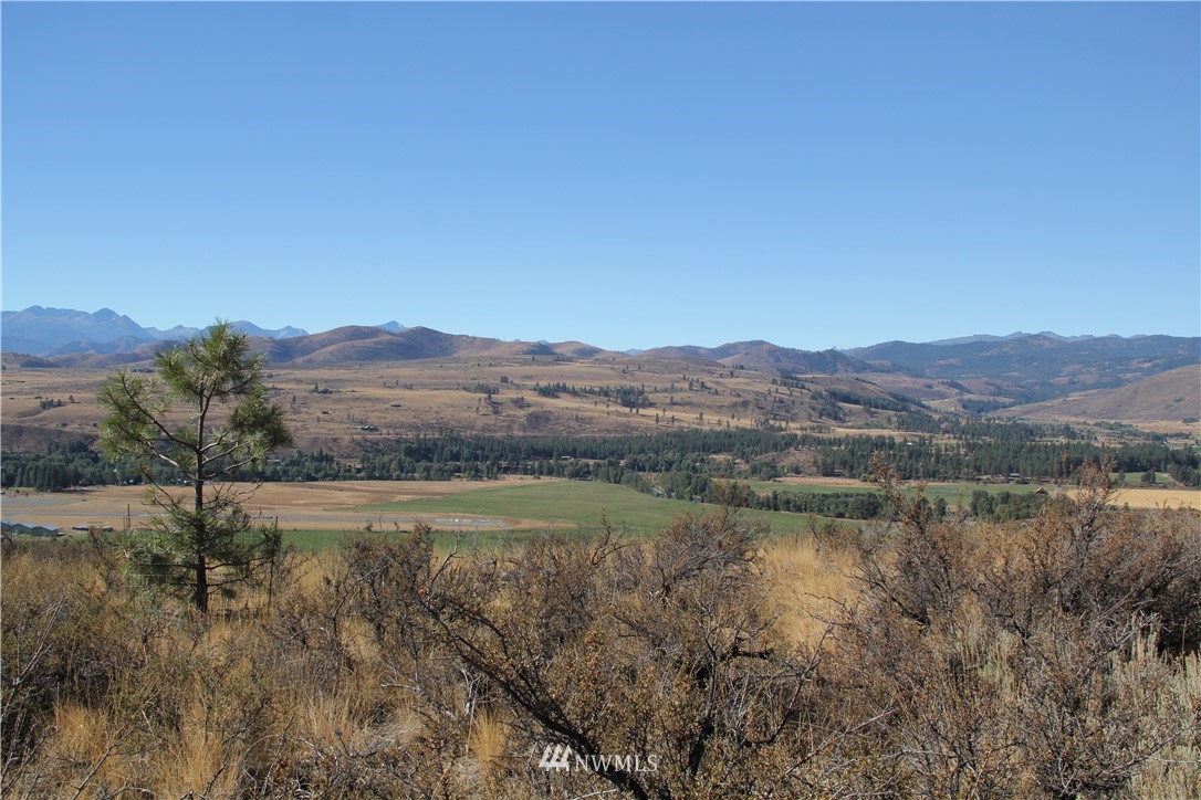 0 Harrier Hill Road Winthrop, WA 98862 - Photo 28 of 33 Gallery Image 28