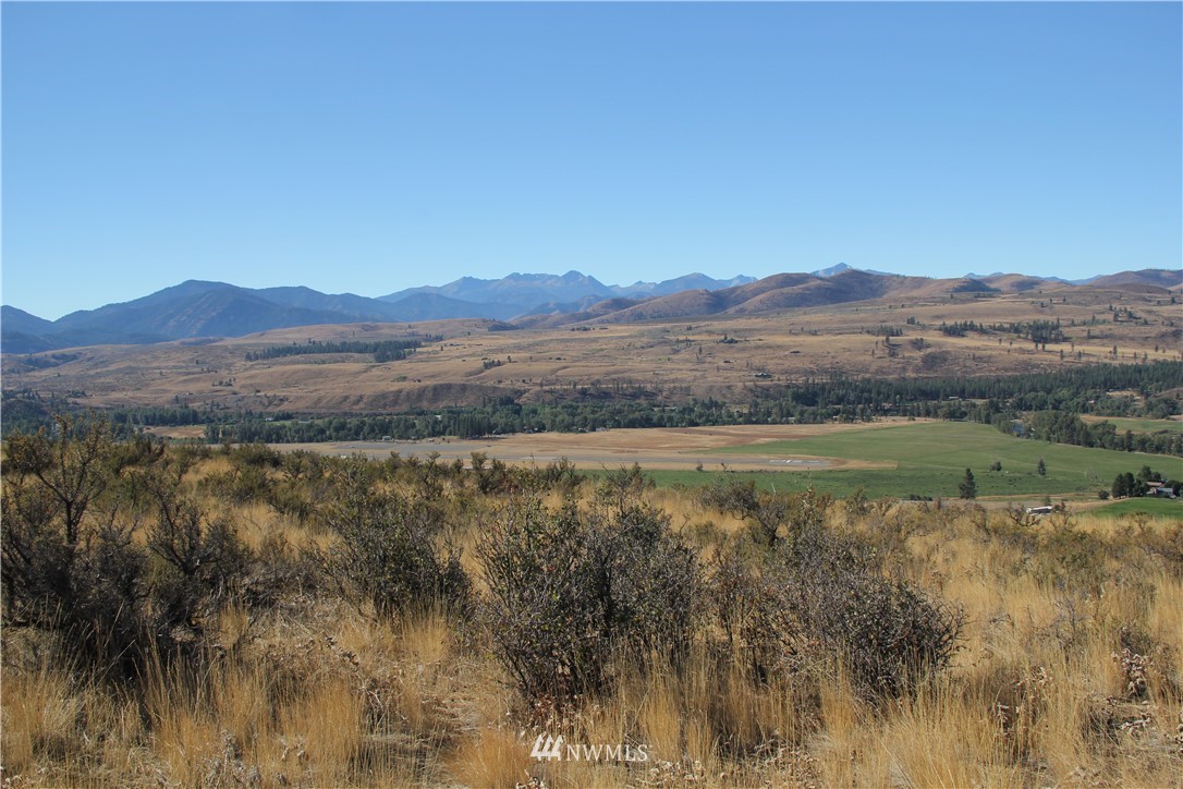 0 Harrier Hill Road Winthrop, WA 98862 - Photo 9 of 33 Gallery Image 9
