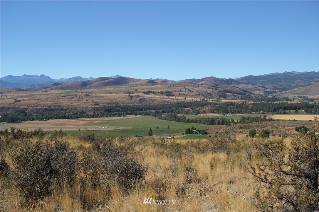 0 Harrier Hill Road Winthrop, WA 98862 - Photo 10 of 33 Gallery Image 10