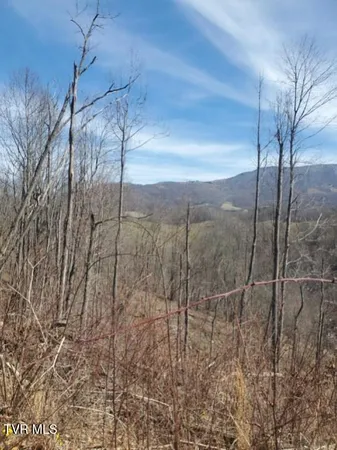 $90,000 | Tbd Miller Road, Unit 1, Trade, TN 37691