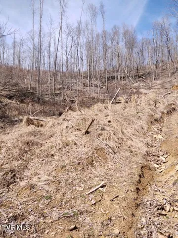 $90,000 | Tbd Miller Road, Unit 1, Trade, TN 37691