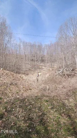 $90,000 | Tbd Miller Road, Unit 1, Trade, TN 37691