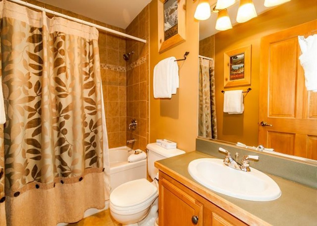 91 River Run Road, Unit 8102 Dillon, CO 80435 - Photo 3 of 25 Full Bathroom