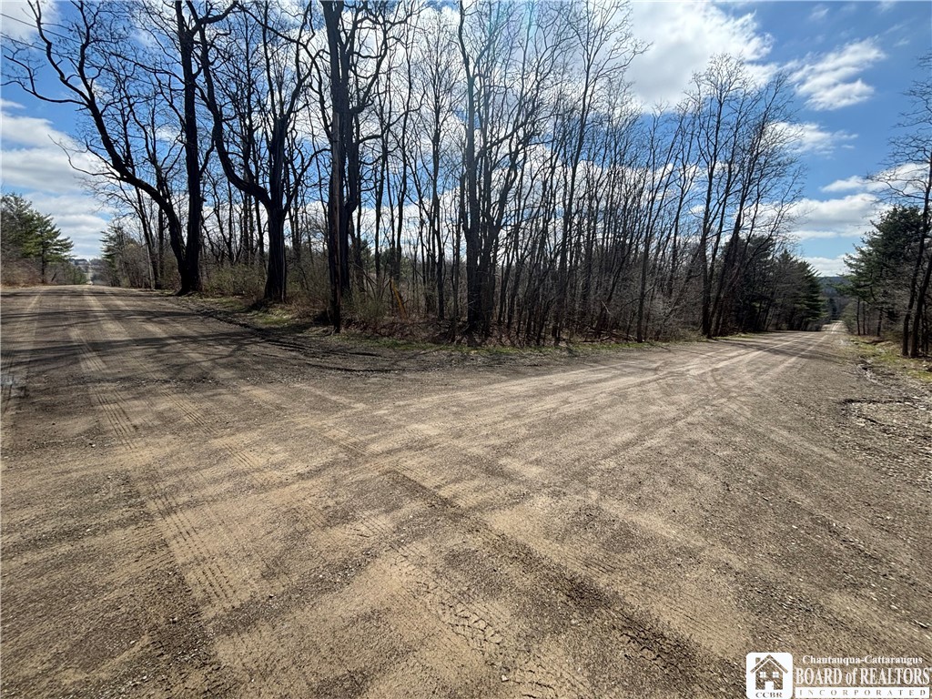 Flat Iron Road Hunt, NY 14846 - Photo 12 of 44