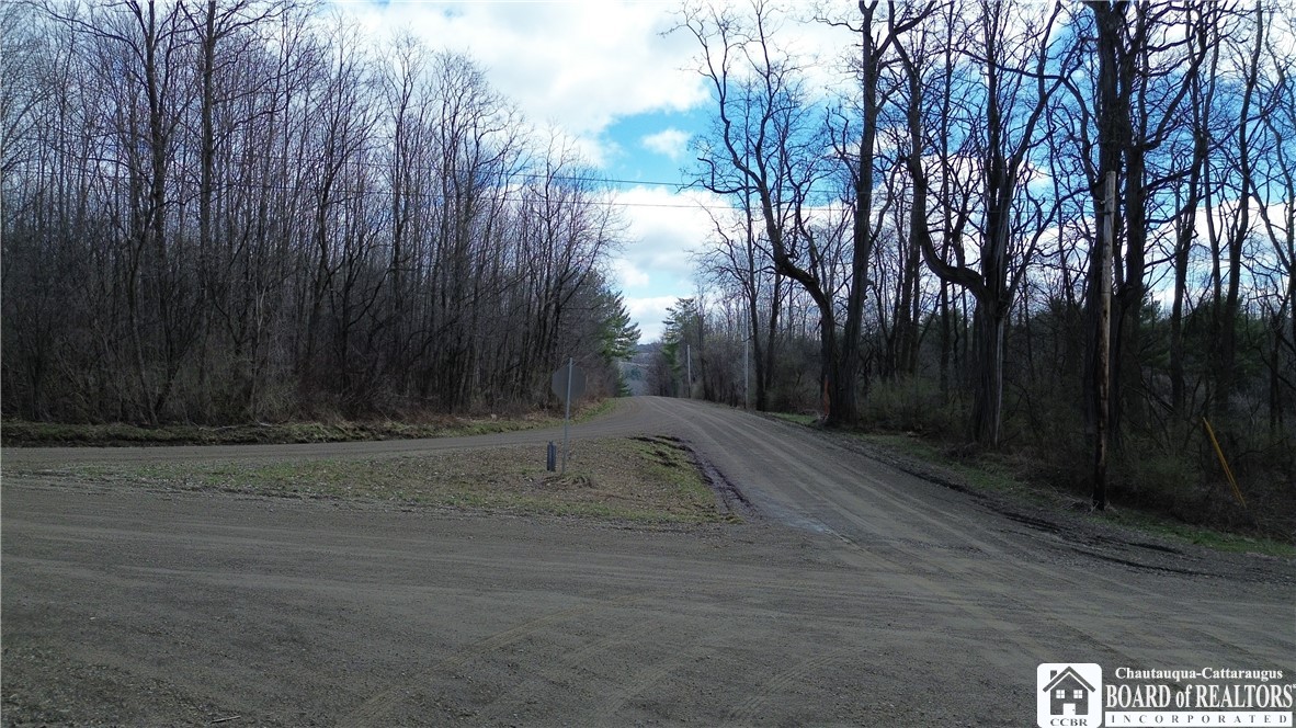 Flat Iron Road Hunt, NY 14846 - Photo 13 of 44