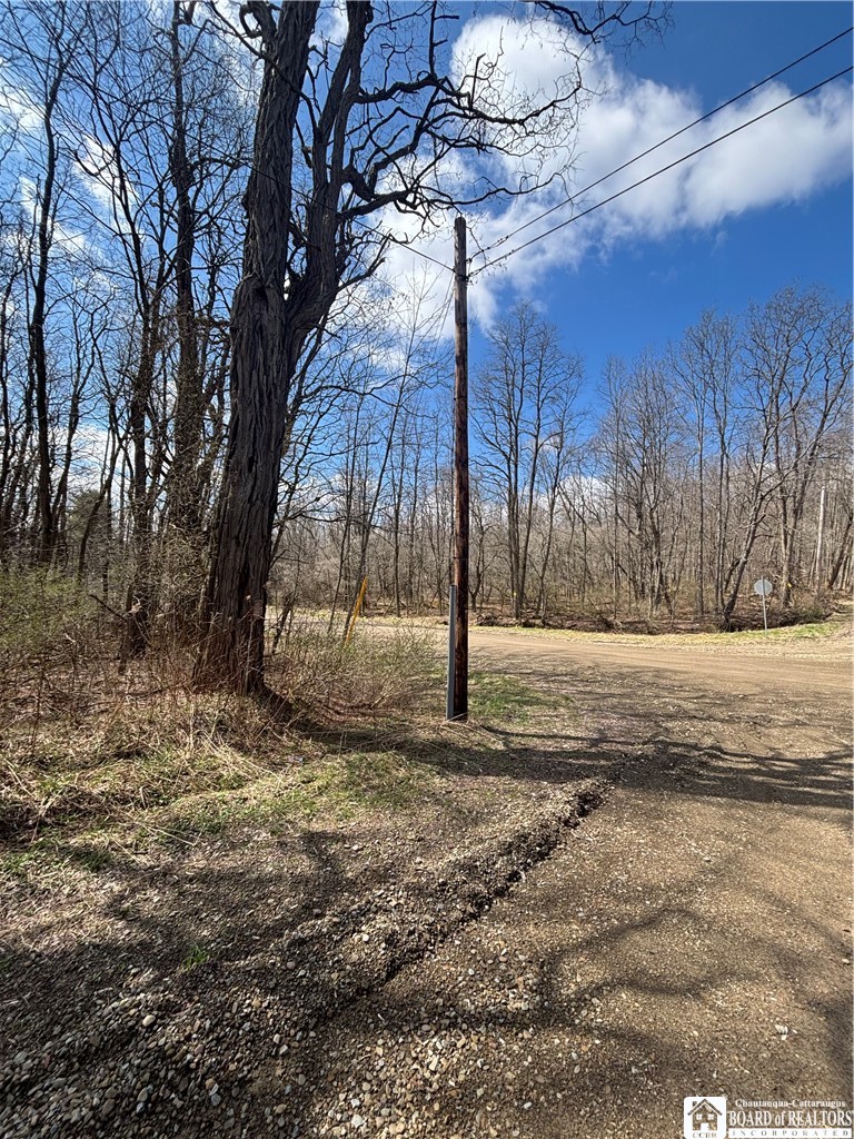 Flat Iron Road Hunt, NY 14846 - Photo 14 of 44