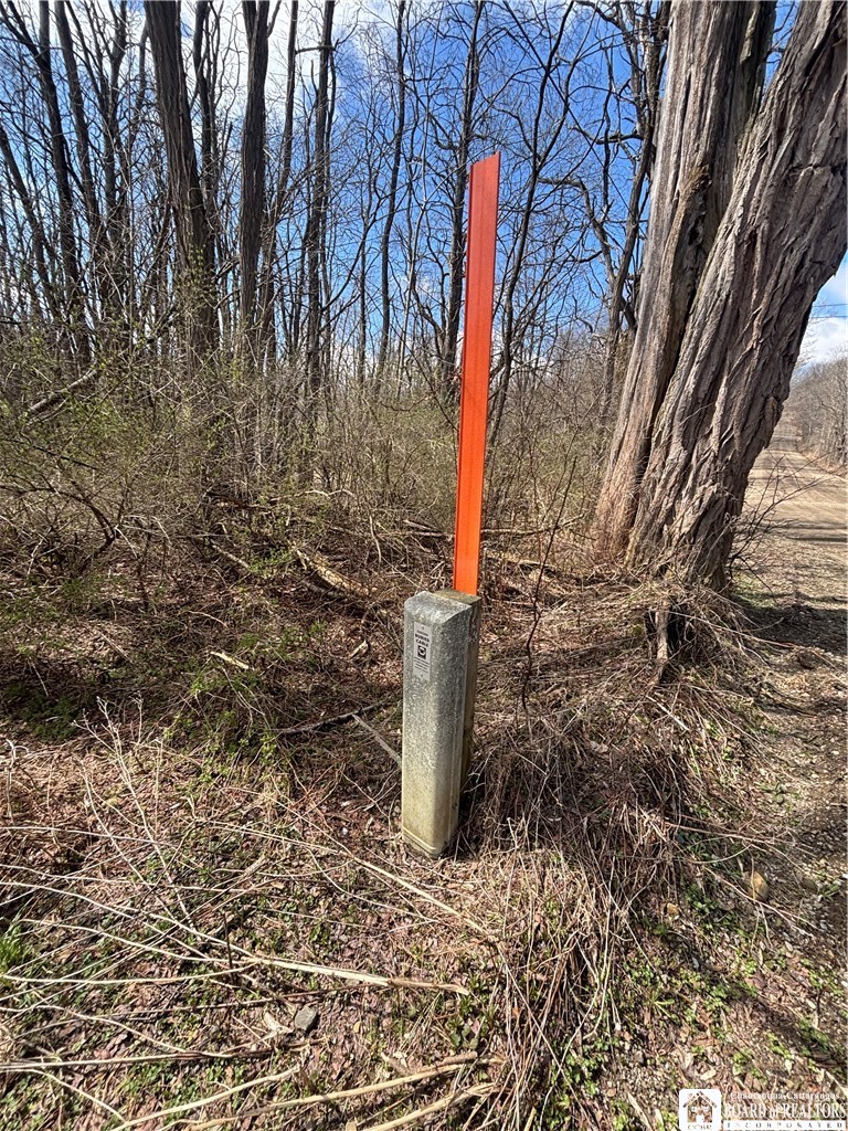 Flat Iron Road Hunt, NY 14846 - Photo 16 of 44