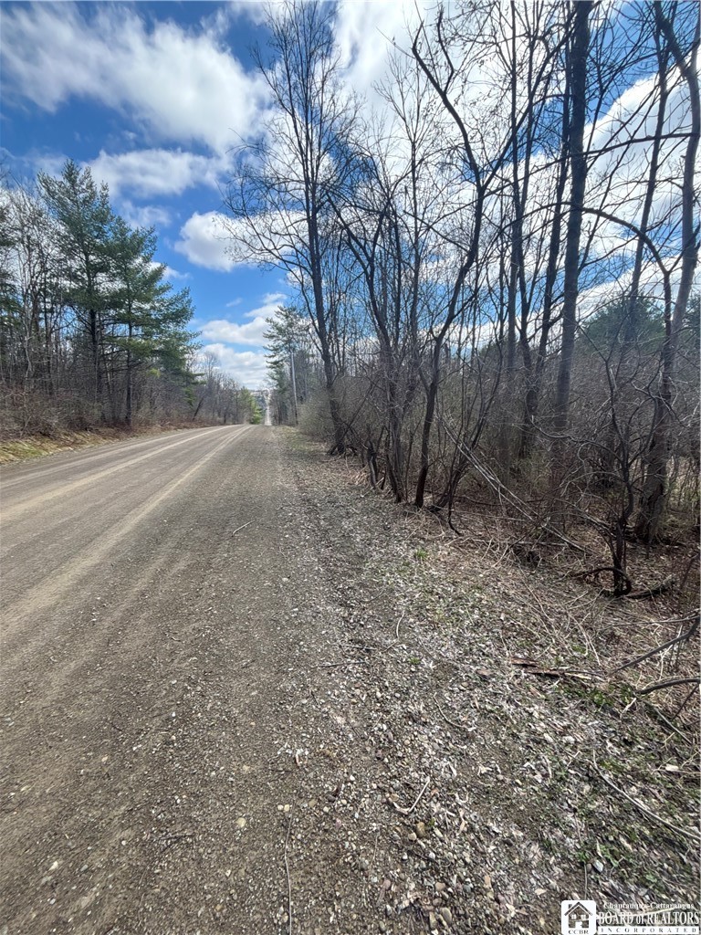 Flat Iron Road Hunt, NY 14846 - Photo 17 of 44