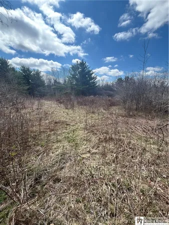 $69,000 | Flat Iron Road, Hunt, NY 14846