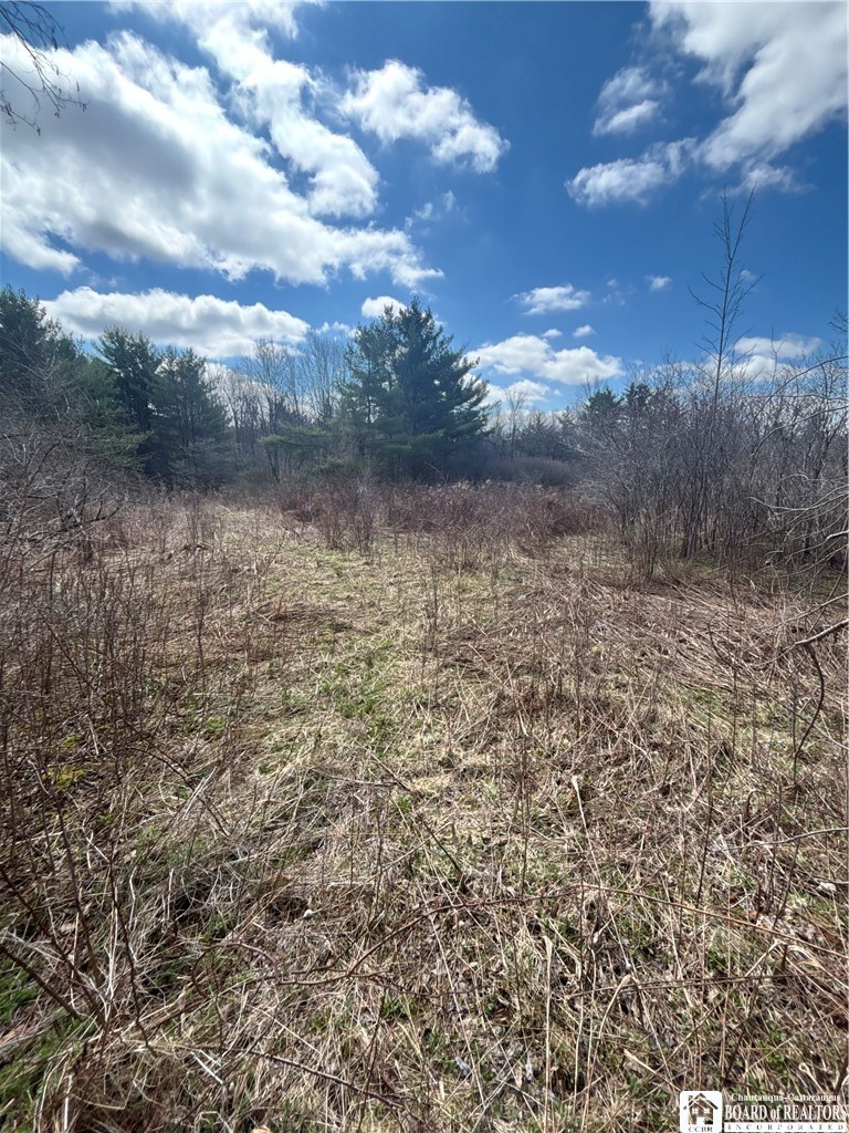 Flat Iron Road Hunt, NY 14846 - Photo 18 of 44