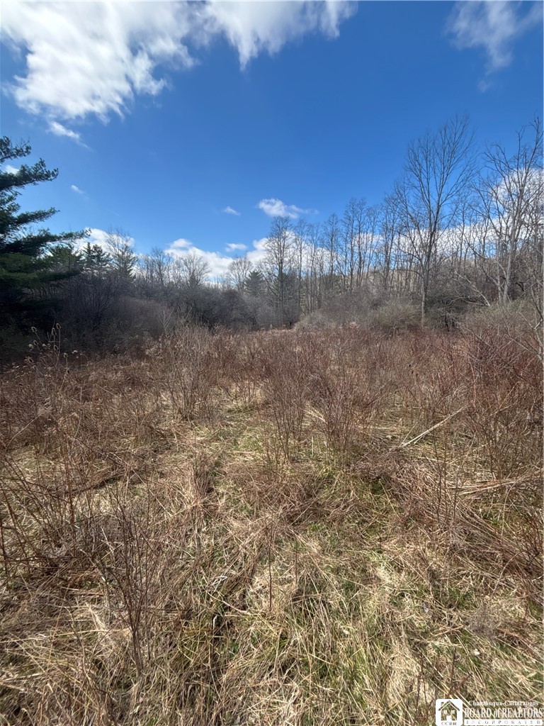 Flat Iron Road Hunt, NY 14846 - Photo 19 of 44