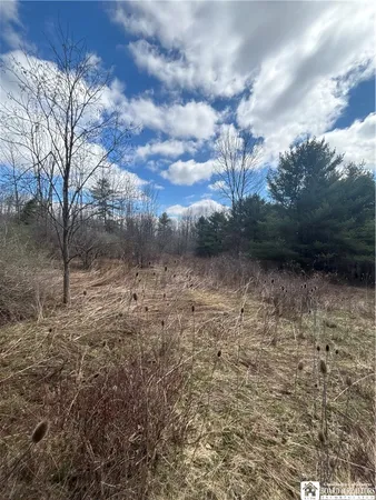$69,000 | Flat Iron Road, Hunt, NY 14846