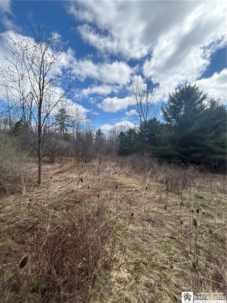 Flat Iron Road Hunt, NY 14846 - Photo 20 of 44