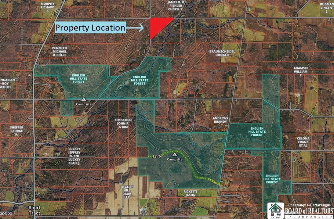 Flat Iron Road Hunt, NY 14846 - Photo 2 of 44