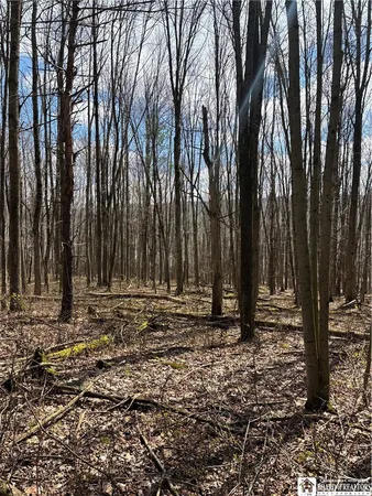 $69,000 | Flat Iron Road, Hunt, NY 14846