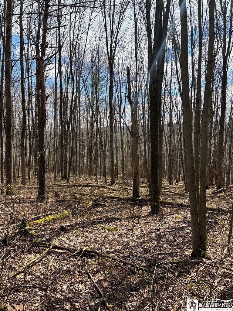 Flat Iron Road Hunt, NY 14846 - Photo 21 of 44