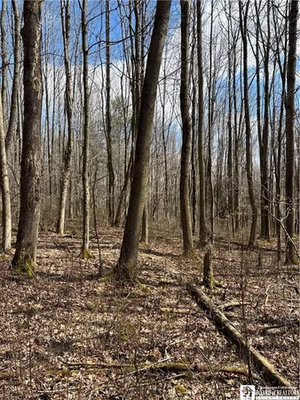 $69,000 | Flat Iron Road, Hunt, NY 14846