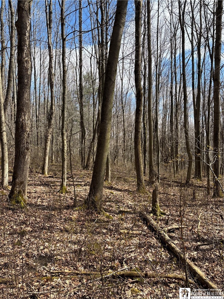 Flat Iron Road Hunt, NY 14846 - Photo 22 of 44