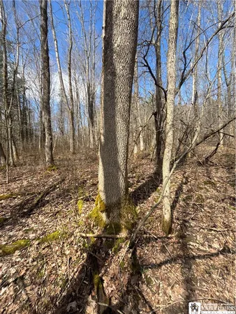 $69,000 | Flat Iron Road, Hunt, NY 14846