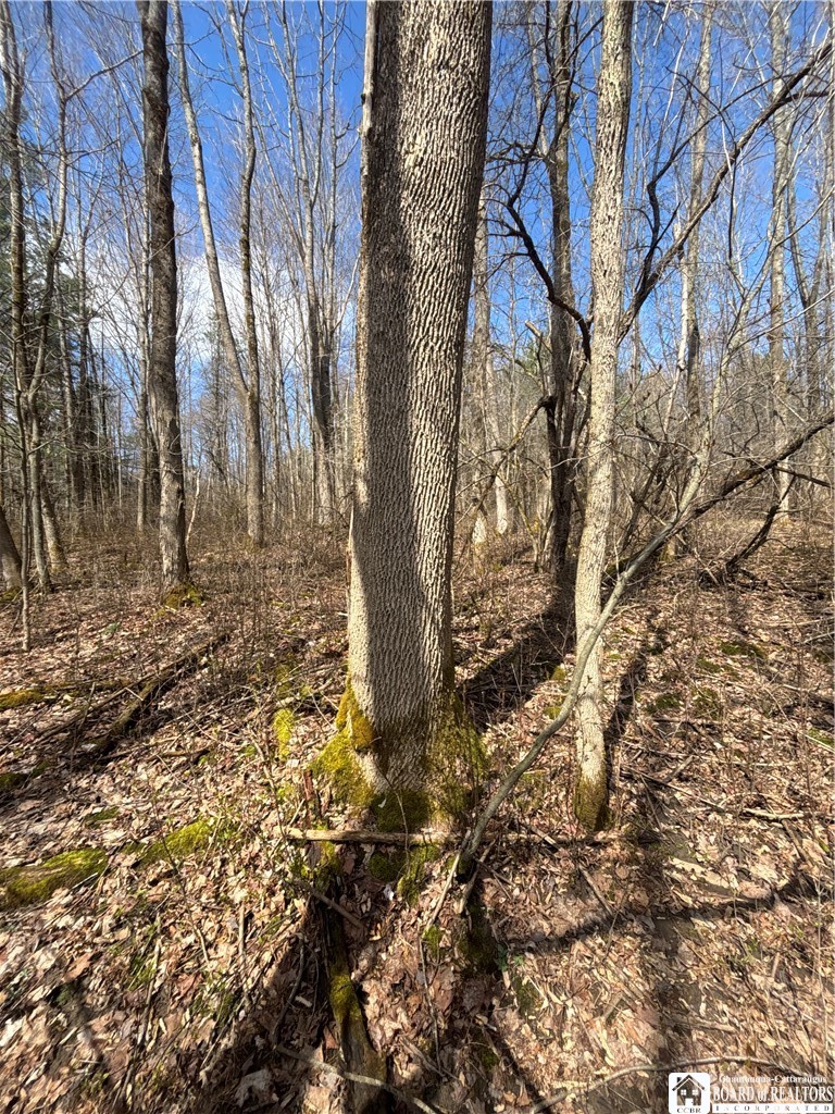 Flat Iron Road Hunt, NY 14846 - Photo 23 of 44