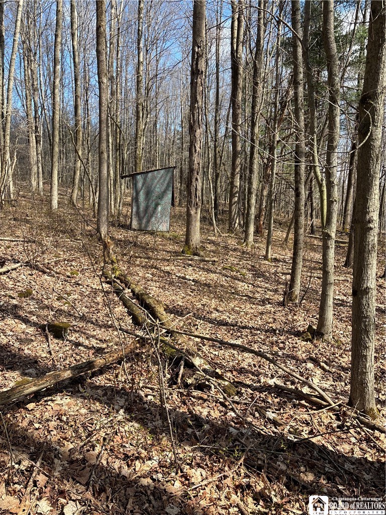 Flat Iron Road Hunt, NY 14846 - Photo 24 of 44