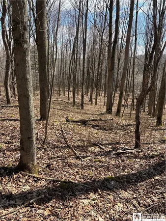 $69,000 | Flat Iron Road, Hunt, NY 14846