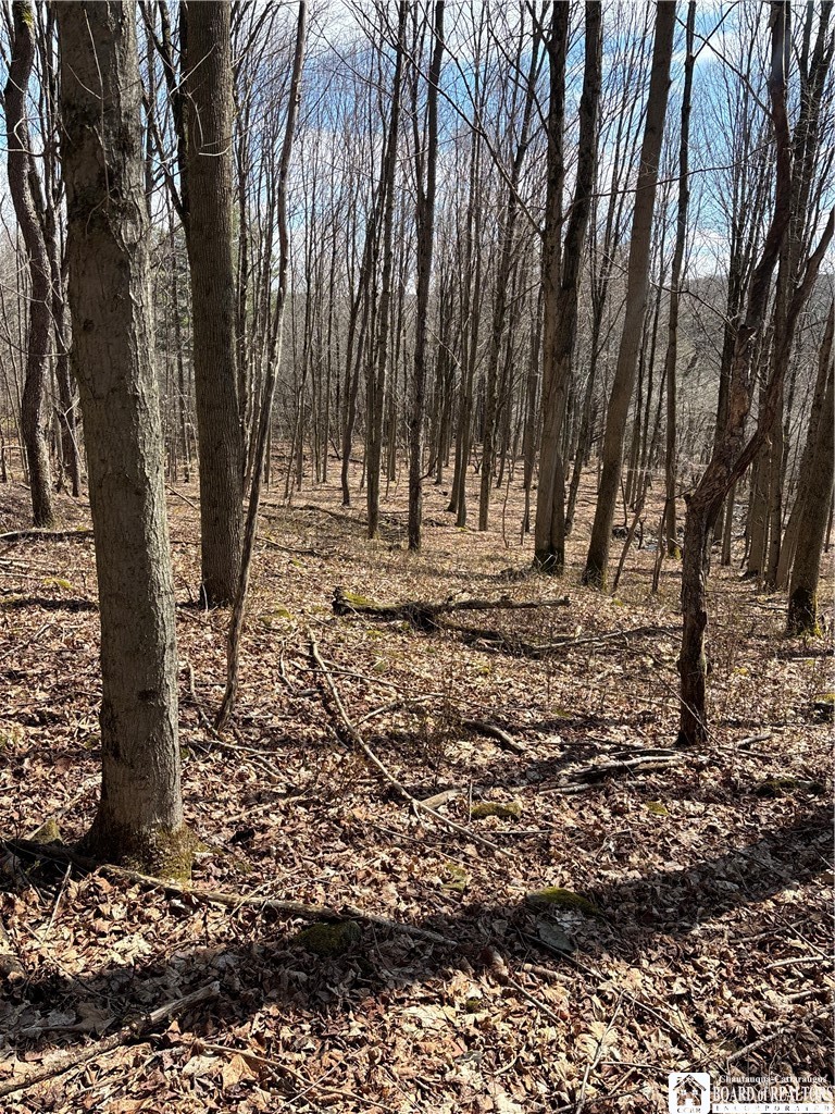 Flat Iron Road Hunt, NY 14846 - Photo 26 of 44