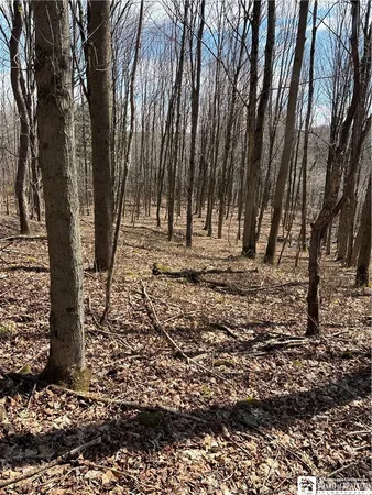 $69,000 | Flat Iron Road, Hunt, NY 14846